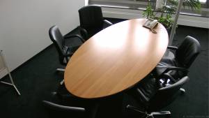 circon s 级-高尚代表椭圆形会议桌瑞士梨木材单板