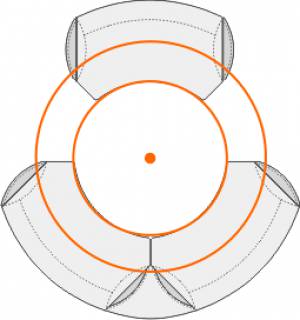 circon 行政经典-人体表顶部是圆形的