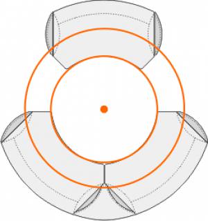 circon 行政经典-人体表顶部是圆形的